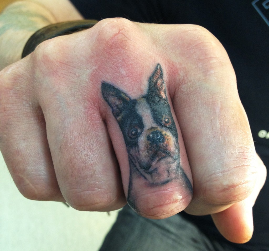 tatutering, bostonterrier, finger, ancient art, tattoo, boston terrier