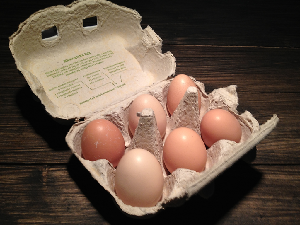 Hedemora eggs