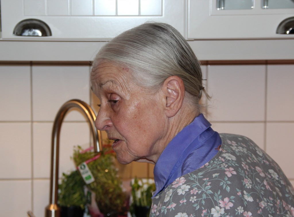 ann-mari storck;92 år;2013;dotter;hugo sillén